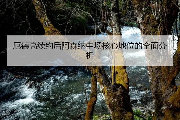 厄德高续约后阿森纳中场核心地位的全面分析